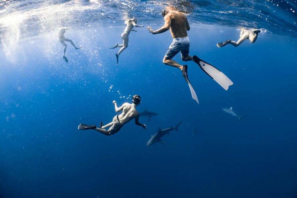 mergulho em cabo verde