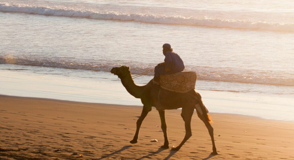 praia de agadir com homem em camelo