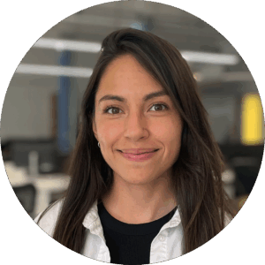 Viviana - Simulador de seguros