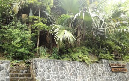 dav grand montagne nature reserve